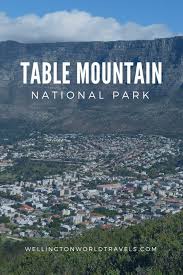 Photo Essay Table Mountain National Park Cape Town Travel Best Places To Travel National Parks