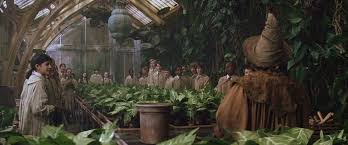 Check spelling or type a new query. Hogwarts Herbology Derrickandmelisa