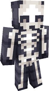 We did not find results for: Minecraft Skeleton Costume Head Minecraft Halloween Skeleton Skin Full Size Png Download Seekpng