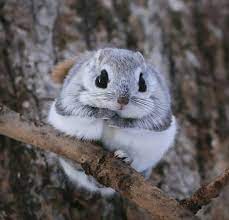 Pin On Cute