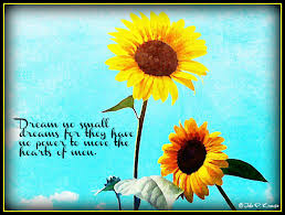 Download Sunflower Seed Sayings And Quotes Quotesgram