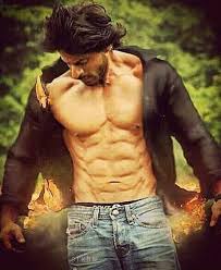 Heart On Fire Salman Khan Photo Shah Rukh Khan Movies Shahrukh Khan