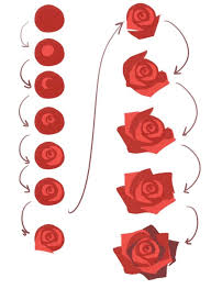 Step by step painting flowers for beginners. Pin By Victoria Ehlert On Art Sketches Flower Drawing Flower Art Art Tutorials