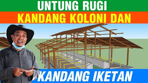 Check spelling or type a new query. Menentukan Pilihan Kandang Sapi Koloni Atau Ikatan Sapibagus Com