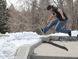 Skateboard park report divides councillors