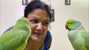 Bajrang caring for kalu🐵