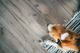 Laminate floor weekly cleaning routine: How To Clean Laminate Floors This Old House