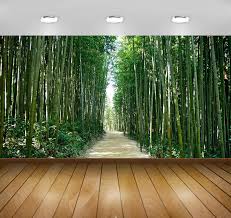 Here are 12 wallpaper inspirations for your master or single bedroom. Avikalp Exclusive Awi5175 Bamboo Forest In Korea Nature Full Hd Wallpapers Wall Stickers 91cm X 60cm Amazon In Home Improvement