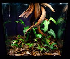 Selva Terrarium Riparium Supply Reptile Terrarium Vivarium Reptiles Pet