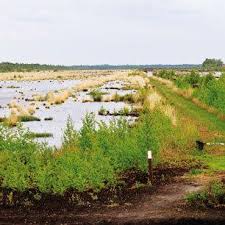 Een documentaire waarin mijn dochter laat zien welke risico's het plaatsen van siliconen borstimplantaten met zich meebrengt. Naturpark Bourtanger Moor Gemeinde Twist Naturpark Moor Veenland Tourismus Und Freizeit