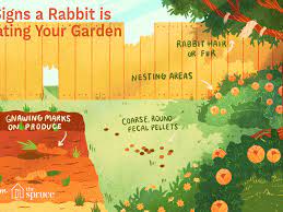 Check spelling or type a new query. How To Keep Rabbits Out Of Your Garden