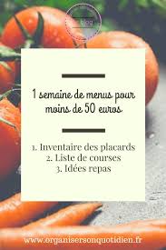 Une Semaine De Menus Pour Moins De 50 Euros Organiser Son Quotidien Recette Petit Budget Idee Recette Semaine Idee Repas Semaine