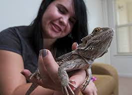 Students' animals find way to school