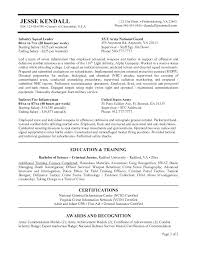 The Best Resume Examples Example Of The Best Resume Nanny Resume ...