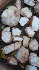 ˈpɛðɾɐ ˈβɾɐ̃kɐ), and refers to whitish guano. Pedra Branca Natural De Lavras Para Aquarios Plantados 1 Kg No Elo7 Artesanatos Mineiros 131faa1