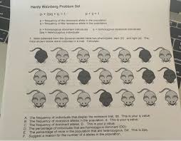 Approximately what percent of the population are heterozygous carriers of the recessive pku allele? Solved Hardy Weinberg Problem Set P 2pq Q 1 P 9 Chegg Com