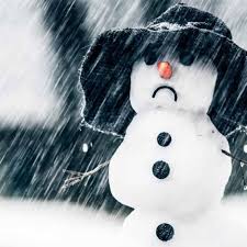 Coretta S. Williams, Ph.D