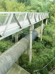 Bamboo Garden Parc De La Villette Paris Bamboo Garden Park