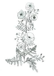 Pin On Illustration