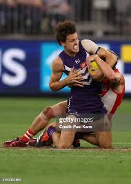 75 Hayward Heath Stock Photos, High-Res Pictures, and Images