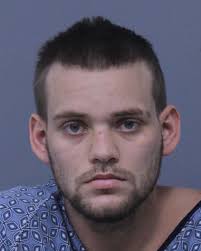 Man sentenced to year in jail after Alligator Farm escapade