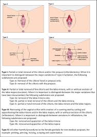 Eine kindeswohlgefährdung kann nach den vorgenannten ausführungen. Female Genital Mutilation In Children Presenting To Australian Paediatricians Archives Of Disease In Childhood