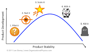 Lifecycle Strategy Product Market Execution Fit