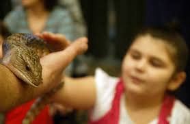 Youngsters mesmerized by encounters with snakes, lizards and dragons