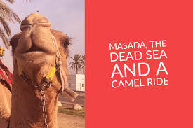 The dead sea is well positioned in jordan to see a number of incredible sites of religious and historic significance. Masada The Dead Sea And A Camel Ride Wander4purpose