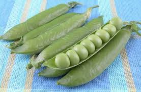 Pea seeds at 60°f (15°c) will only take a week to sprout. How To Grow Peas Lovetoknow