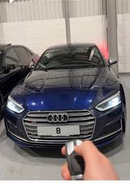 Image result for Navarra Blue 2017 Audi