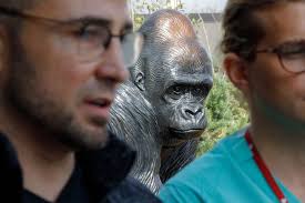 Omaha's great apes in caring hands