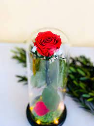 Beast Enchanted Rose In Glass Dome