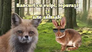 Long time reader, first time caller.i bought. Cele Mai Bune Bancuri Cu Vulpi Iepurasi Si Alte Animale Rascuplans Ro