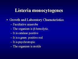 Listeria monocytogenes is a foodborne pathogen that can cause invasive severe human illness (listeriosis) in susceptible patients. Foodborne Infections And Intoxications Listeria Monocytogenes Campylobacter Jejuni