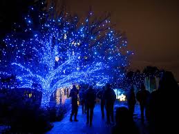 The gardens' signature event for over three decades, this annual holiday lights extravaganza transforms our york street location into a twinkling parking in the surrounding neighborhood may be restricted on some streets; Little Hiccups Blossoms Of Light At Denver Botanic Gardens