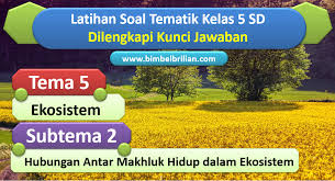 Kunci jawaban tema 5 kelas 5 ini diharapkan dapat membantu para orang tua siswa dan guru dalam mengoreksi jawaban anak. Soal Tema 5 Kelas 5 Sd Subtema 2 Hubungan Antar Makhluk Hidup Dalam Ekosistem Dan Kunci Jawaban Bimbel Brilian