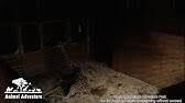 The couple married in 2000 and now have five children. Johari Oliver Giraffe Cam Animal Adventure Park Youtube