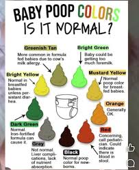 Image result for Newborn Stool Color