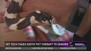 Some veterinarians are also specialists in pocket pets, reptiles or avian species. Seniors Find Comfort In Exotic Pet Therapy King5 Com