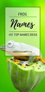Pin On Frogs Would you believe this funny pet names list was put together by a woman who named her cat namey? pin on frogs