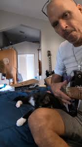 My cat just loves " FREE GUITAR" serenade's