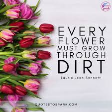 Check spelling or type a new query. Beautiful Flowers Quotes And Flowers Sayings To Celebrate Love