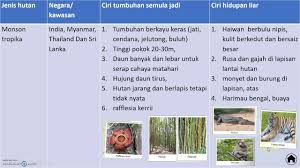 Create html5 flipbook from pdf to view on iphone, ipad and android devices. Geografi Tingkatan 3 Bab 8 Youtube