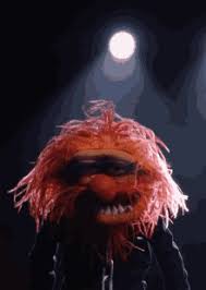 Search, discover and share your favorite animal muppet gifs. Animal Drumming Muppets Gifs Tenor