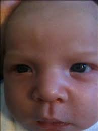 Adrien Whitt Obituary (2010)