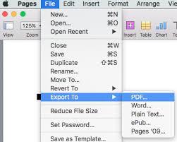 How to create a professional resume in 4 easy steps. How To Create A Resume In Apple Pages Mac