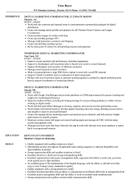Digital Marketing Coordinator Resume Samples Velvet Jobs