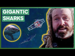 The Best Animal Content On discovery+ 🐶