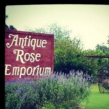 Plants & shrubs for every home plants bring life to every home. Maas Nursery Home Facebook